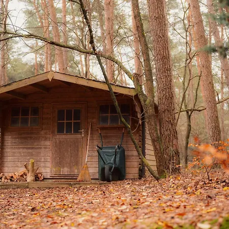 Half-timbered House In The Middle Of The Forest *