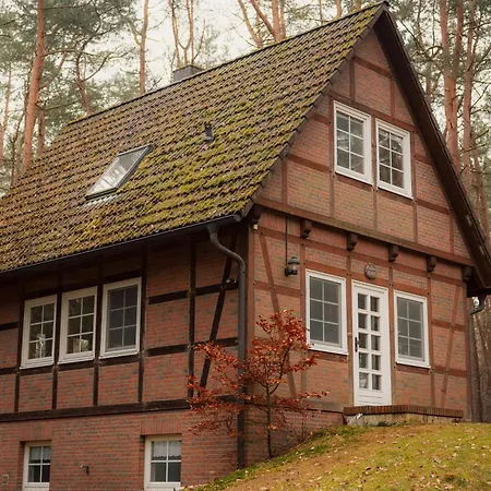 Half-timbered House In The Middle Of The Forest *