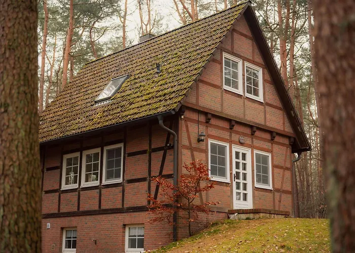 Half-timbered House In The Middle Of The Forest *